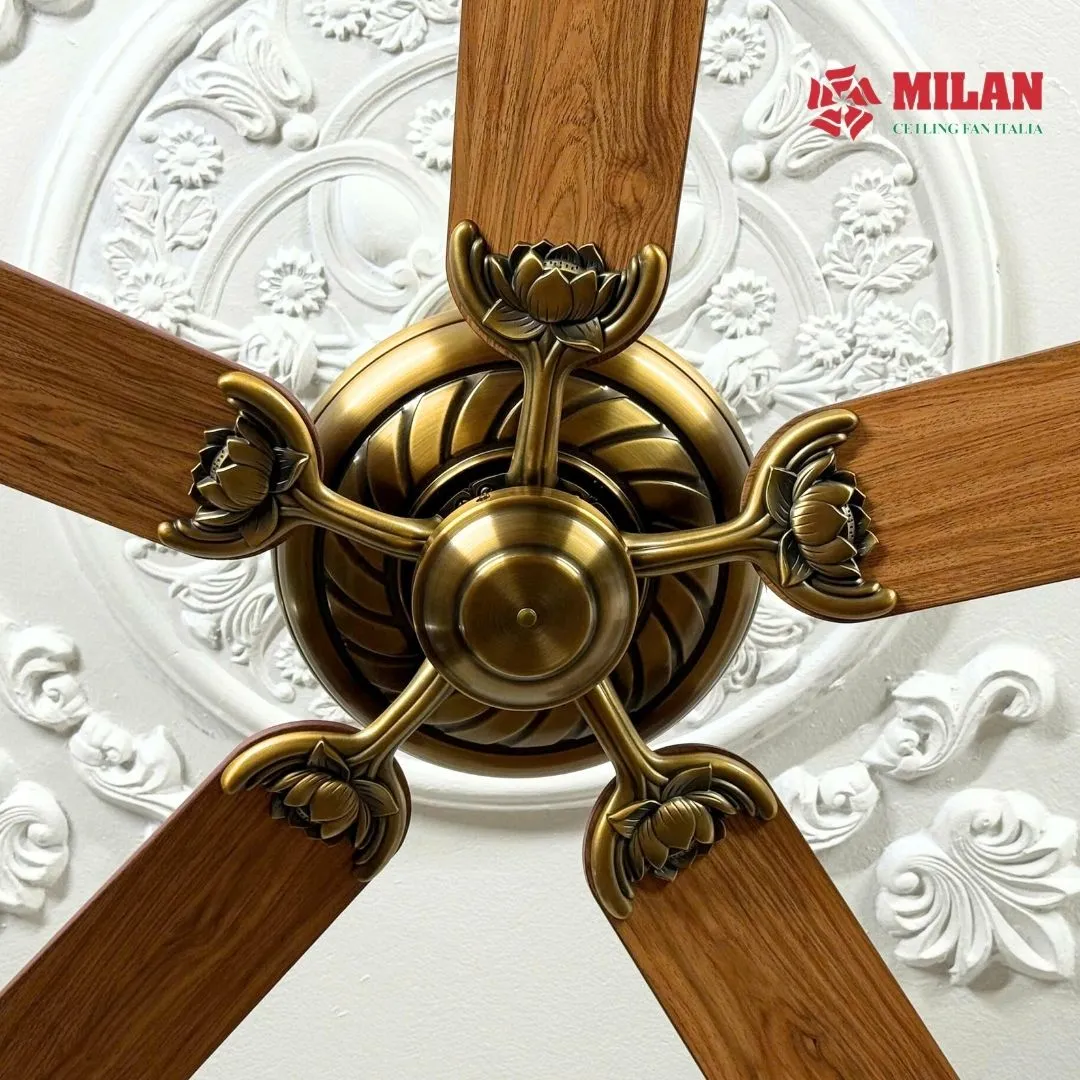 can-canh-quat-tran-den-chum-5-canh-fy503